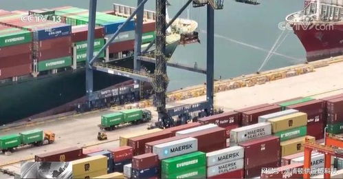 外貿訂單保衛戰 貨代企業舉步維艱，策劃創意服務破局